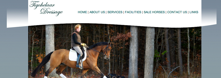 Tigchelaar Dressage