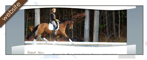 Tigchelaar Dressage